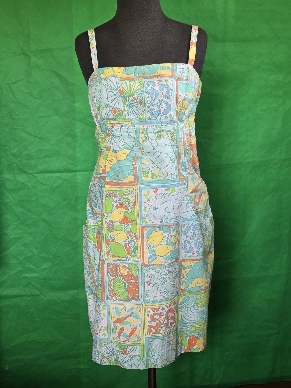 Lilly Pulitzer Coastal Preppy Print Dress Smocked Back, Lined, Pockets  Sz 10